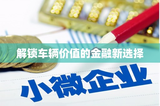 北埔解锁车辆价值的金融新选择