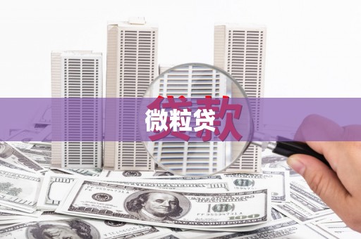 北埔微粒贷