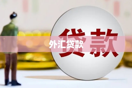 北埔外汇贷款