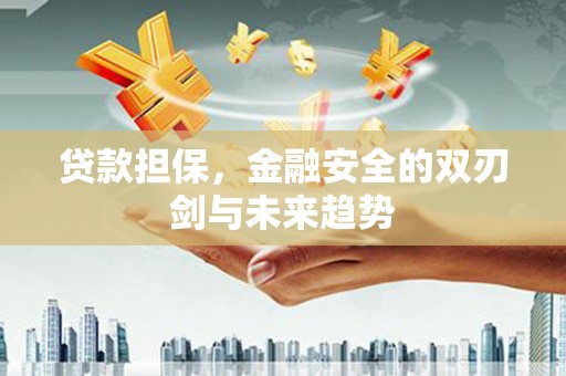 北埔贷款担保，金融安全的双刃剑与未来趋势