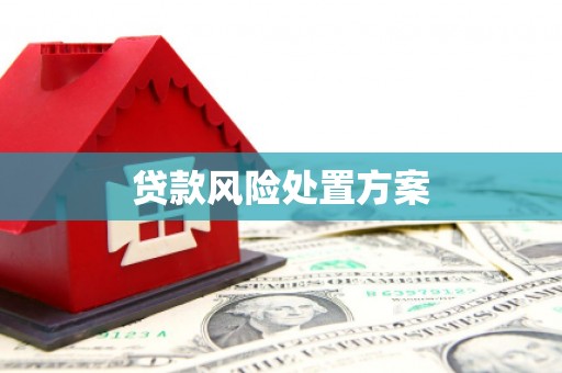 北埔贷款风险处置方案