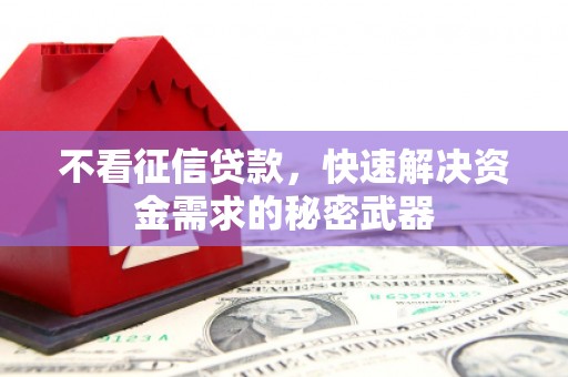 北埔不看征信贷款，快速解决资金需求的秘密武器