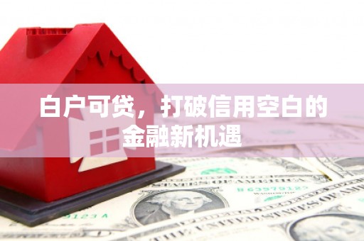 北埔白户可贷，打破信用空白的金融新机遇