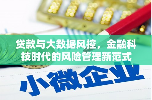 北埔贷款与大数据风控，金融科技时代的风险管理新范式