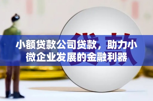 北埔小额贷款公司贷款，助力小微企业发展的金融利器