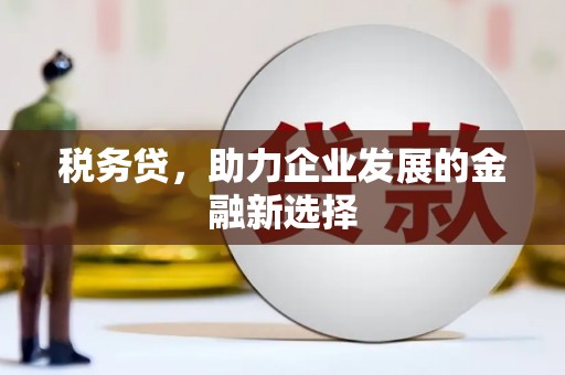 北埔税务贷，助力企业发展的金融新选择