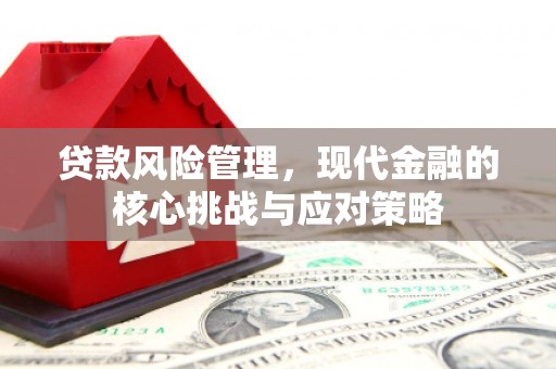 北埔贷款风险管理，现代金融的核心挑战与应对策略