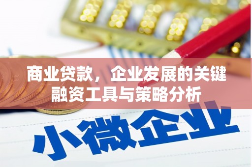 北埔商业贷款，企业发展的关键融资工具与策略分析