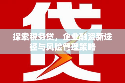 北埔探索税务贷，企业融资新途径与风险管理策略