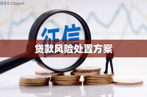 北埔贷款风险处置方案