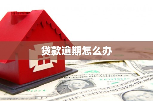 北埔贷款逾期怎么办