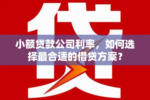 北埔小额贷款公司利率，如何选择最合适的借贷方案？