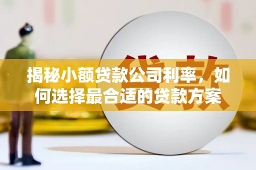 北埔揭秘小额贷款公司利率，如何选择最合适的贷款方案