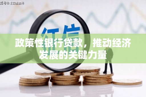 北埔政策性银行贷款，推动经济发展的关键力量