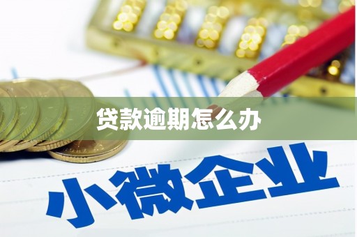 北埔贷款逾期怎么办