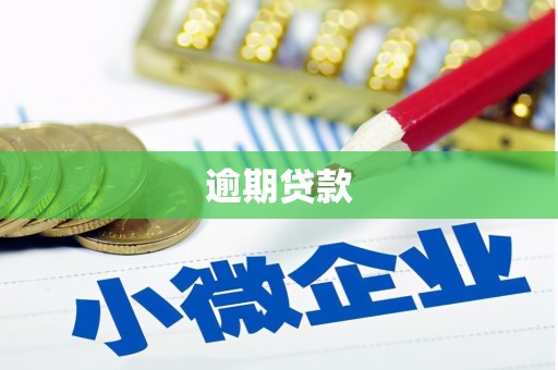 北埔逾期贷款